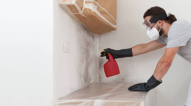 Professional Bathroom Mold Removal technician working in Phoenix, IL